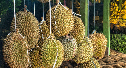 年轻人的“榴莲自由”，让中间商赚麻了
